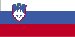 slovenian Iowa - Valsts nosaukums (filiāle) (lappuse 1)